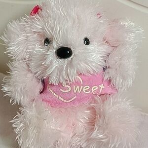 Adorable Pink Plush Bear